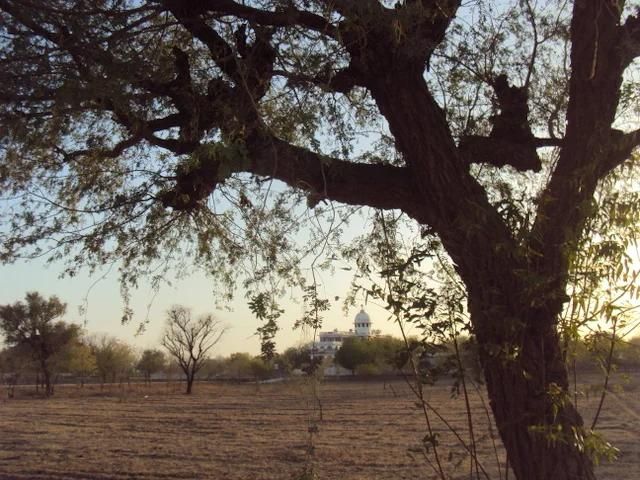 summer-impressions mainImage